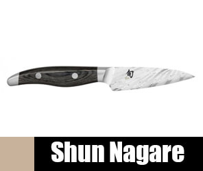 Shun Nagare